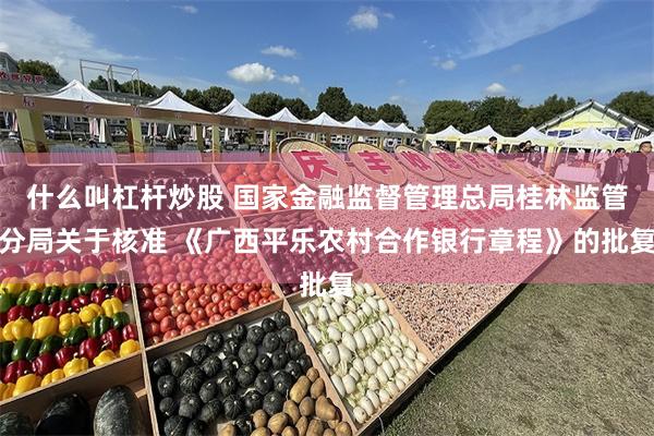 什么叫杠杆炒股 国家金融监督管理总局桂林监管分局关于核准 《广西平乐农村合作银行章程》的批复