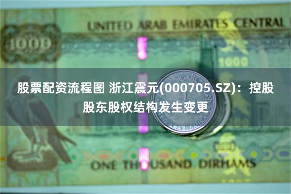 股票配资流程图 浙江震元(000705.SZ)：控股股东股权结构发生变更