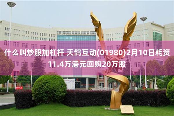 什么叫炒股加杠杆 天鸽互动(01980)2月10日耗资11.4万港元回购20万股