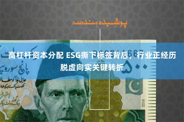 高杠杆资本分配 ESG撕下标签背后，行业正经历脱虚向实关键转折