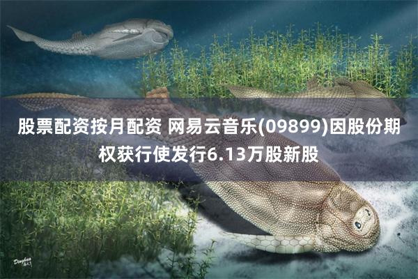 股票配资按月配资 网易云音乐(09899)因股份期权获行使发行6.13万股新股