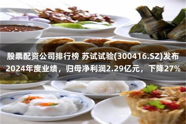 股票配资公司排行榜 苏试试验(300416.SZ)发布2024年度业绩，归母净利润2.29亿元，下降27%
