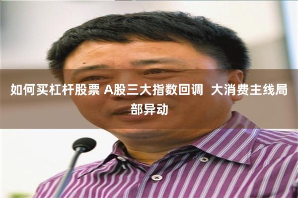 如何买杠杆股票 A股三大指数回调  大消费主线局部异动