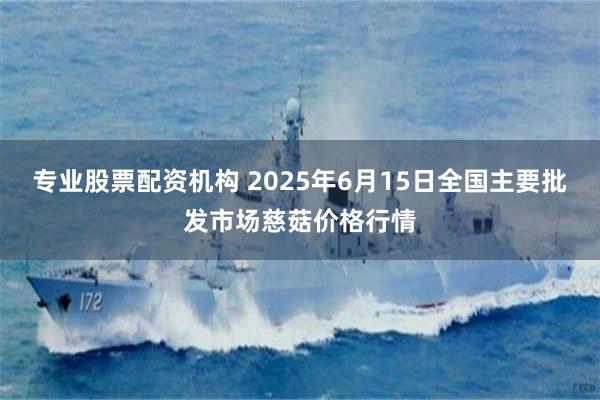 专业股票配资机构 2025年6月15日全国主要批发市场慈菇价格行情