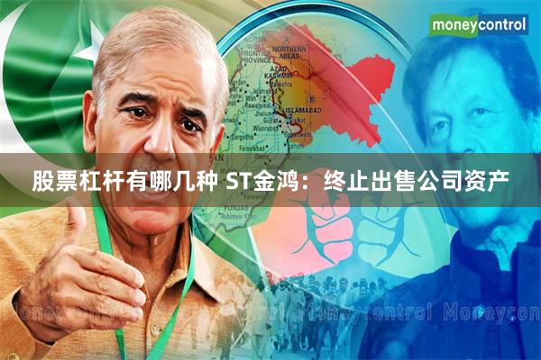股票杠杆有哪几种 ST金鸿：终止出售公司资产