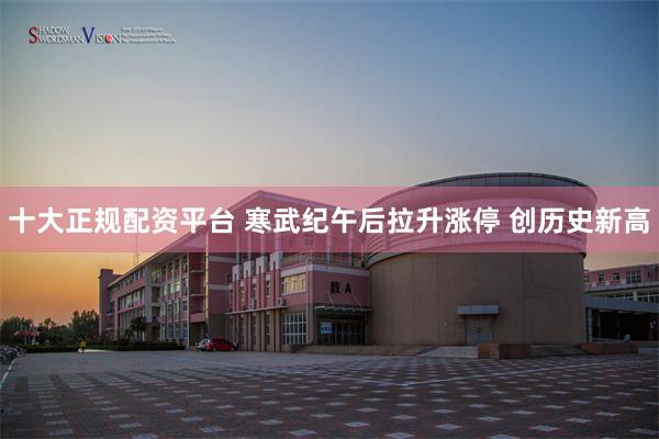 十大正规配资平台 寒武纪午后拉升涨停 创历史新高