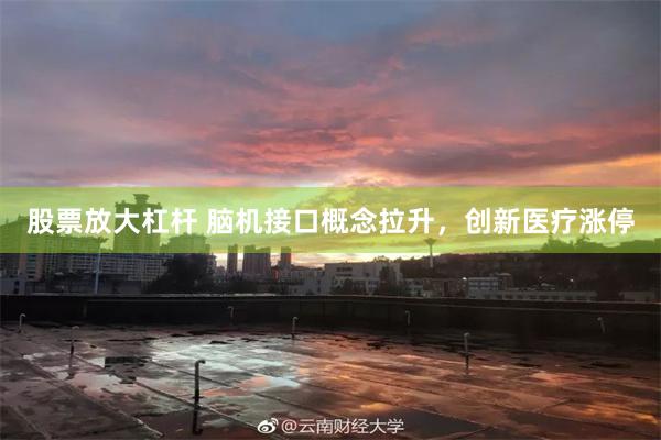 股票放大杠杆 脑机接口概念拉升，创新医疗涨停